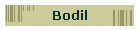Bodil