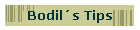 Bodil�s Tips